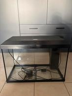 Aquarium juwel 70-75L, Ophalen, Zo goed als nieuw