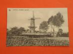  Loenhout , Molen sindsdien verminkt , Ophalen of Verzenden, 1920 tot 1940, Ongelopen, Antwerpen