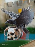 Corbeau sur crâne en plexiglas de 1,50 cm d'épaisseur, Collections, Collections Animaux, Enlèvement ou Envoi, Crâne