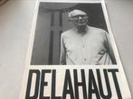 Jo Delahaut Peintures Dessins 20pag, Ophalen of Verzenden, Zo goed als nieuw, Schilder- en Tekenkunst