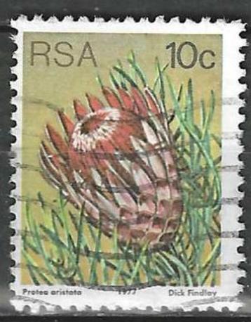 Zuid-Afrika 1977 - Yvert 425 - De Kleindensuikerbos (ST) beschikbaar voor biedingen