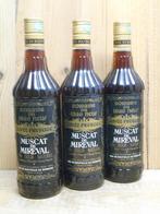 3x MUSCAT DE MIREVAL, Domaine du Mas Neuf, Envoi, Neuf, Autres types