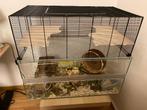 Hamster cage, Ophalen, Kooi, 60 tot 90 cm, Zo goed als nieuw