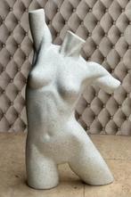 Torso vrouw (isomo), Enlèvement