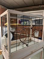 Vogelkooi kanarie sijsen en meer, Ophalen, Zo goed als nieuw, Overige materialen, Vogelkooi
