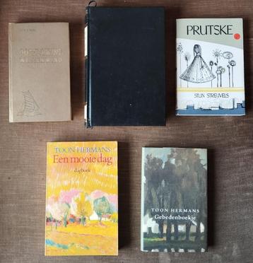 Lot 5 Literatuur - 13 boeken