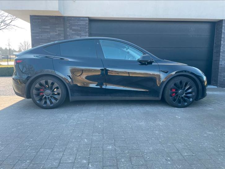 Tesla Model Y Performance topwagen, Auto's, Tesla, Particulier, Model Y, 360° camera, 4x4, ABS, Achteruitrijcamera, Adaptieve lichten