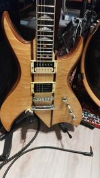 Bc rich bich nj classic customized, Enlèvement