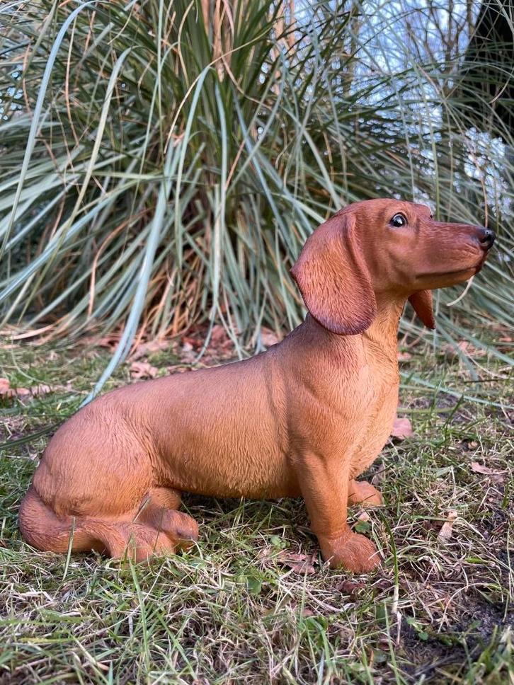 Beeld teckel, tekkel, hond, tuin, gazon 30 cm, Tuin en Terras, Tuinbeelden, Nieuw, Dierenbeeld, Kunststof, Ophalen of Verzenden