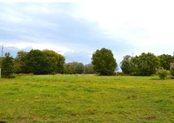 Gezocht: Stukje grond / weide te huur voor moestuin & kippen beschikbaar voor biedingen