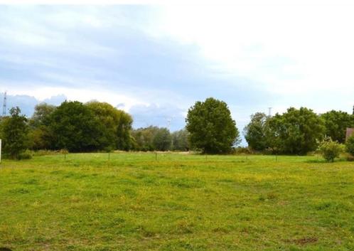 Gezocht: Stukje grond / weide te huur voor moestuin & kippen, Dieren en Toebehoren, Stalling en Weidegang