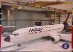 Qaps Boeing 737-400 Malev Hungarian Airlines promo sheet, Collections, Aviation, Enlèvement, Comme neuf, Carte, Photo ou Gravure