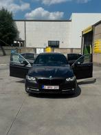 Bmw 530d 258pk Euro6, Auto's, Automaat, Achterwielaandrijving, 5 deurs, Particulier