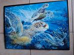 Puzzel zeeschildpad, Ophalen, 500 t/m 1500 stukjes, Gebruikt, Legpuzzel