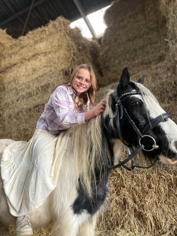 Brave tinker merrie, Dieren en Toebehoren, Pony's, Merrie