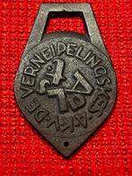 Medaille Aalst Carnaval 1976 Marc De Bruyn Verneipelingskes, Postzegels en Munten, Ophalen of Verzenden