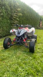 Quad polaris predator 500 cc, Motoren, Ophalen