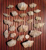 Lot fossiele Brachiopoda - armpotigen - speriferen - 21stuks, Ophalen of Verzenden, Fossiel