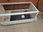 konijnenhok, Cavia, Hok, Ophalen, Minder dan 60 cm