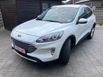 Ford Kuga, Auto's, Stof, 4 cilinders, Wit, 5 zetels