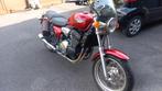 moto triumph thunderbird, Motoren, Motoren | Triumph, Motorrijbewijs A, 3 cilinders, 883 cc, Particulier