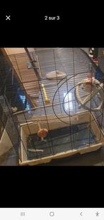 Gage oiseau, Animaux & Accessoires, Enlèvement ou Envoi, Comme neuf, Cage