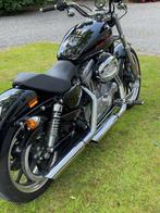 Harley Davidson, Motoren, Motoren | Harley-Davidson, 2 cilinders, Chopper, 883 cc, Particulier