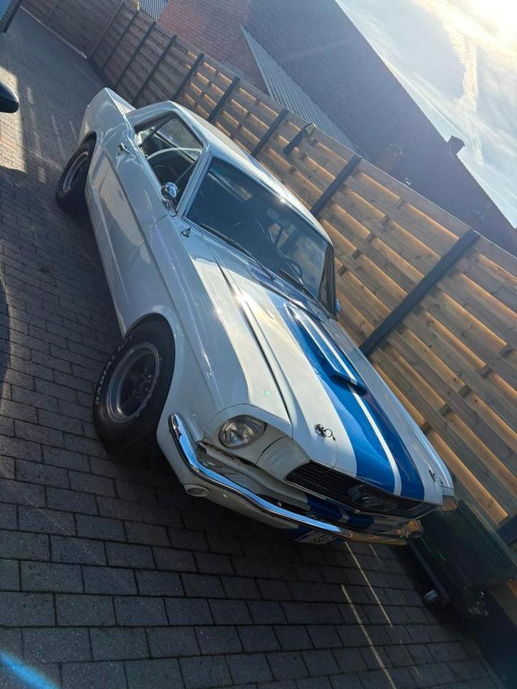 Ford mustang coupe v8.  1966, Auto's, Ford USA, Particulier, Mustang, Benzine, Automaat, Wit, Zwart, Leder, Achterwielaandrijving