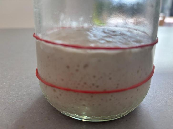 Actieve zuurdesemstarter ( 50 gram ), Diversen, Levensmiddelen, Ophalen of Verzenden