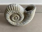 Ammoniet decoratie, Ophalen of Verzenden, Zo goed als nieuw