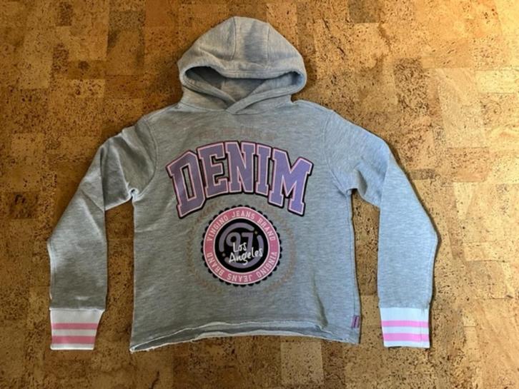 grijze sweater met kap Vingino maat 16j, Kinderen en Baby's, Kinderkleding | Maat 176, Zo goed als nieuw, Meisje, Trui of Vest