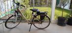 Elektrische fiets topmerk Giant, Fietsen en Brommers, Gebruikt, Ophalen of Verzenden, Giant