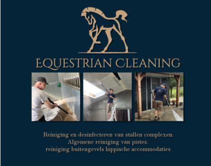 Schoonmaak accommodatie, Animaux & Accessoires, Chevaux