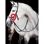 Rambo Micklem in zeer goede staat, Dieren en Toebehoren, Paarden en Pony's | Hoofdstellen en Tuigage, Ophalen, Zo goed als nieuw