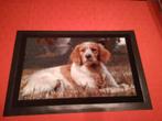 Nieuwe deur matten Welsh Springer + King Charles Cavalier, Neuf, Enlèvement ou Envoi, 50 à 100 cm, Rectangulaire
