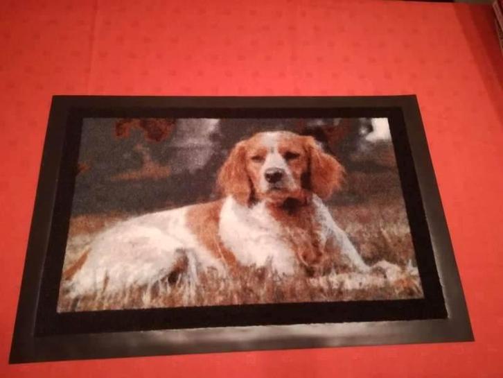 Nieuwe deur matten Welsh Springer + King Charles Cavalier, Huis en Inrichting, Stoffering | Tapijten en Vloerkleden, Nieuw, Minder dan 50 cm