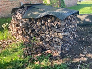 brandhout, 6 m³ of meer, Ophalen, Overige houtsoorten, Blokken