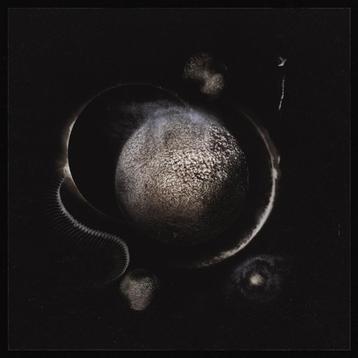 Enthroned – Cold Black Suns beschikbaar voor biedingen