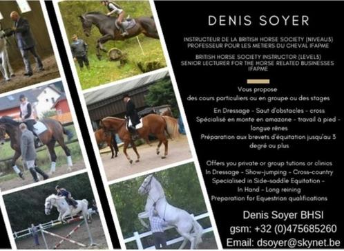 Paardrijlessen, Dieren en Toebehoren, Paarden en Pony's | Overige Paardenspullen, Nieuw, Recreatie, Ophalen of Verzenden