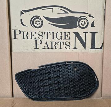 Grill Rooster Mercedes C Klasse W205 AMG Links Inleg 12-19