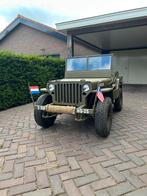 Willy Jeep schaal 1:2, Auto's, Particulier, Benzine, Te koop