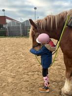 Super betrouwbaar boerenpaard, Dieren en Toebehoren