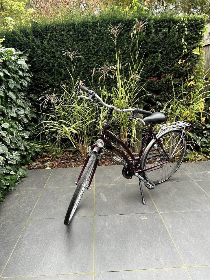 Fiets Lowland, Fietsen en Brommers, Fietsaccessoires | Overige Fietsaccessoires, Ophalen