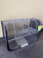 Kooi knaagdieren, Kooi, Gebruikt, Minder dan 75 cm, Hamster