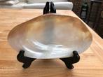 Zeeschelp | Mother of Pearl Shell | Filipijnen | Nieuw, Huis en Inrichting, Ophalen of Verzenden, Nieuw