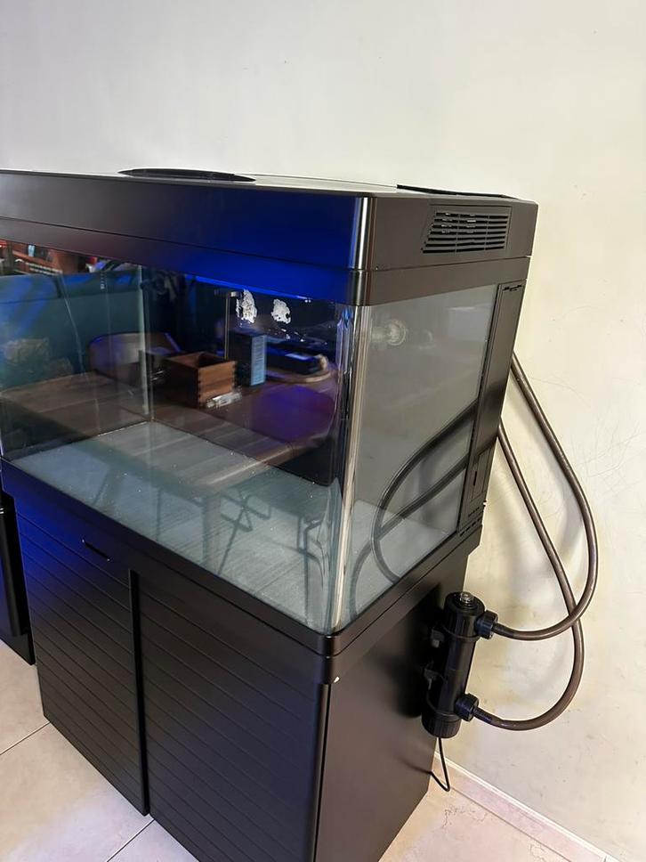 Red Sea max 250, Dieren en Toebehoren, Vissen | Aquaria en Toebehoren, Gebruikt, Ophalen