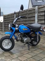 Honda Monkey Z50J in topstaat, Fietsen en Brommers, Ophalen, Zo goed als nieuw, 49 cc