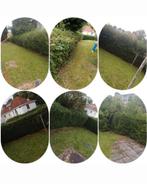 Jardinier a votre service, Enlèvement