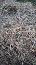 Grote balen hooi en stro, Dieren en Toebehoren, Dierenvoeding, Ophalen