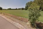 Te koop landbouwgrond  55.are., Immo, Hamont achel, Verkoop zonder makelaar, 1500 m² of meer